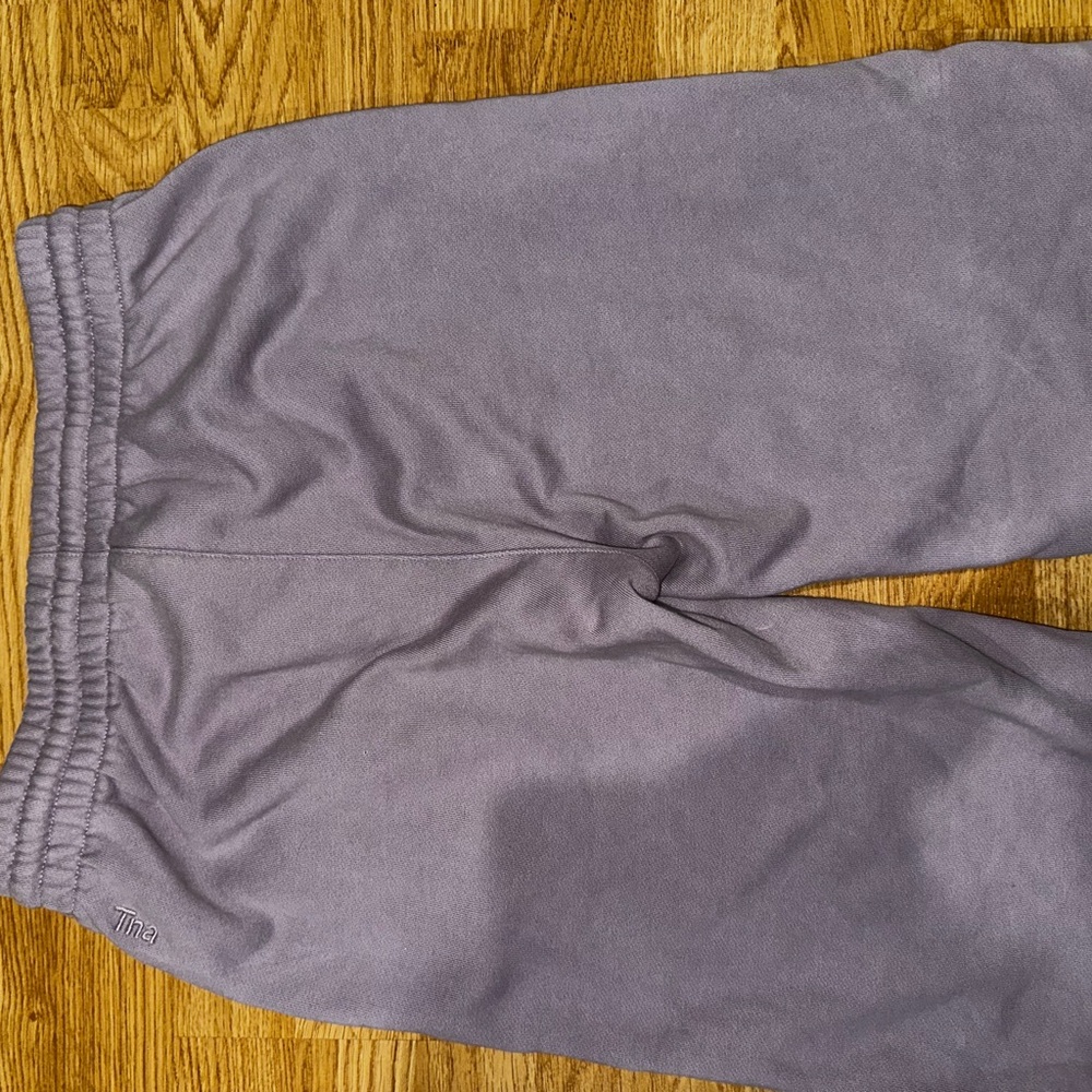 Aritzia TNA Extra Fleece Sweatpants - Picture 6 of 6